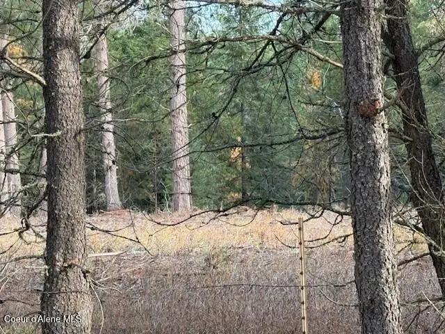 171 (temp) Bear Rd., Priest River, ID 83856 - Image #2