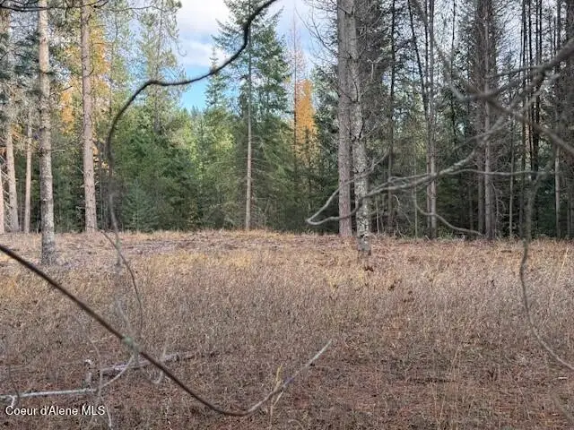 171 (temp) Bear Rd., Priest River, ID 83856 - Image #3