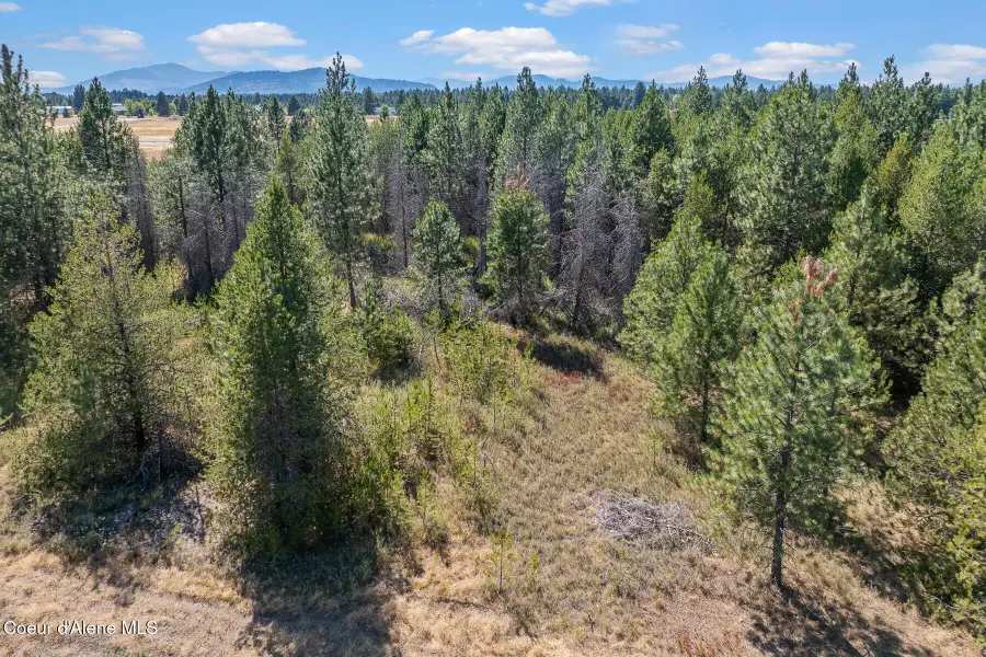 Lot 18 Asulkan St, Athol, ID 83801 - Image #3