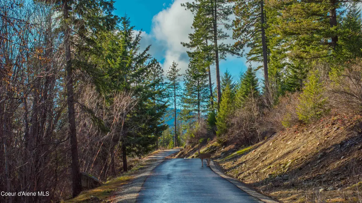 NNA 20.83acs Destiny Ln, Sandpoint, ID 83864 - Image #1