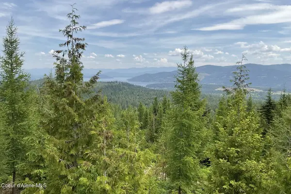 1728 Rugged Trail, Sagle, ID 83860