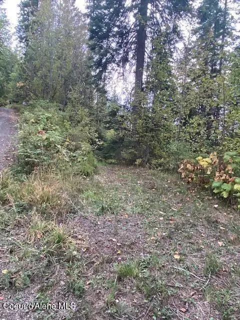 #3