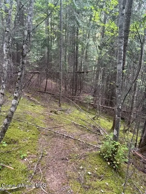 #3