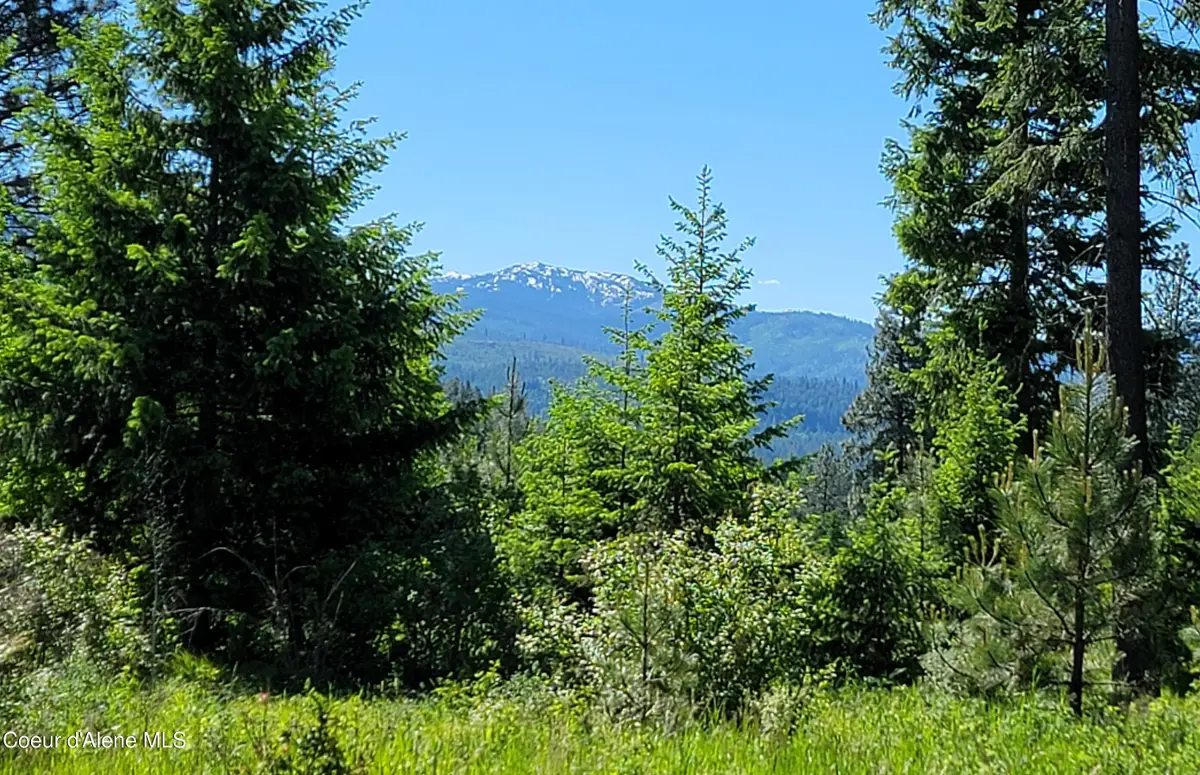 NNA Falcon Ridge Drive - #1, Naples, ID 83847 - Image #1