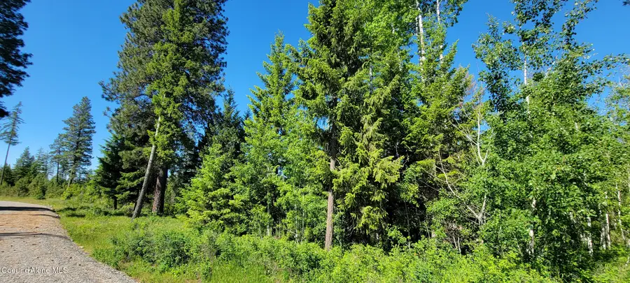 NNA Falcon Ridge Drive - #1, Naples, ID 83847 - Image #2