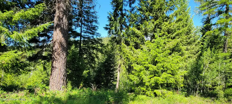 NNA Falcon Ridge Drive - #1, Naples, ID 83847 - Image #3