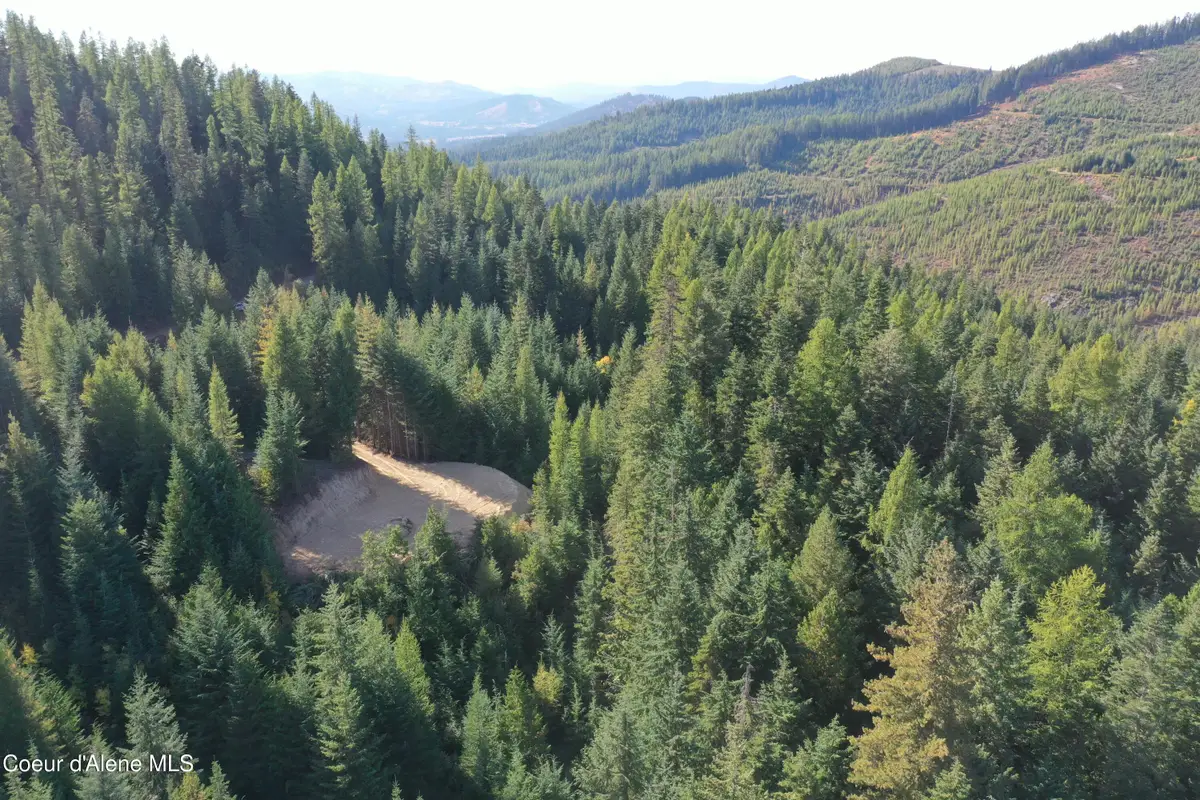1802 Alpine DR, Fernwood, ID 83830 - #1