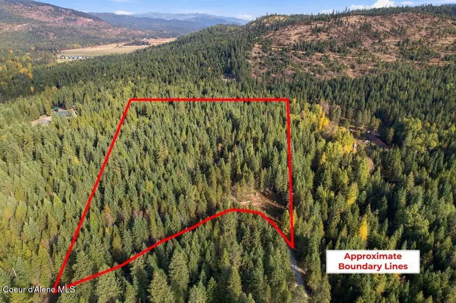 315 Old Homestead RD, Careywood, ID 83809 - #3