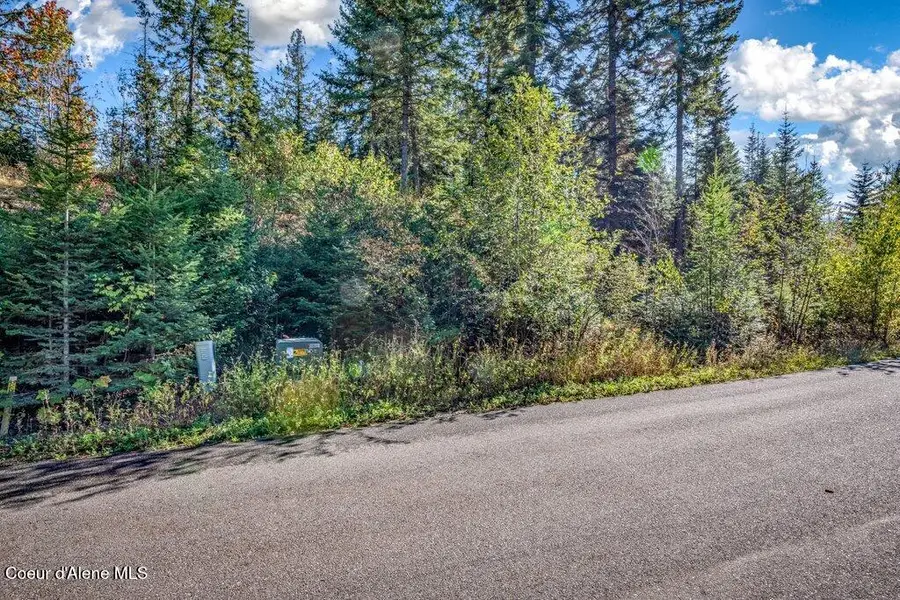 NNA C15 White Cloud Drive, Sandpoint, ID 83864 - #3