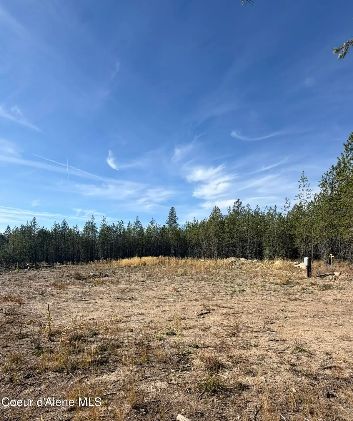 NKA Flintlock Way, Blanchard, ID 83804 - #1