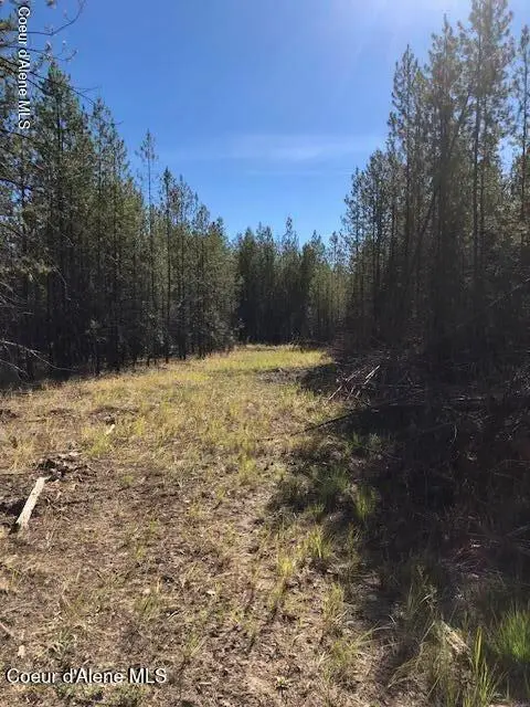NKA Flintlock Way, Blanchard, ID 83804 - #3
