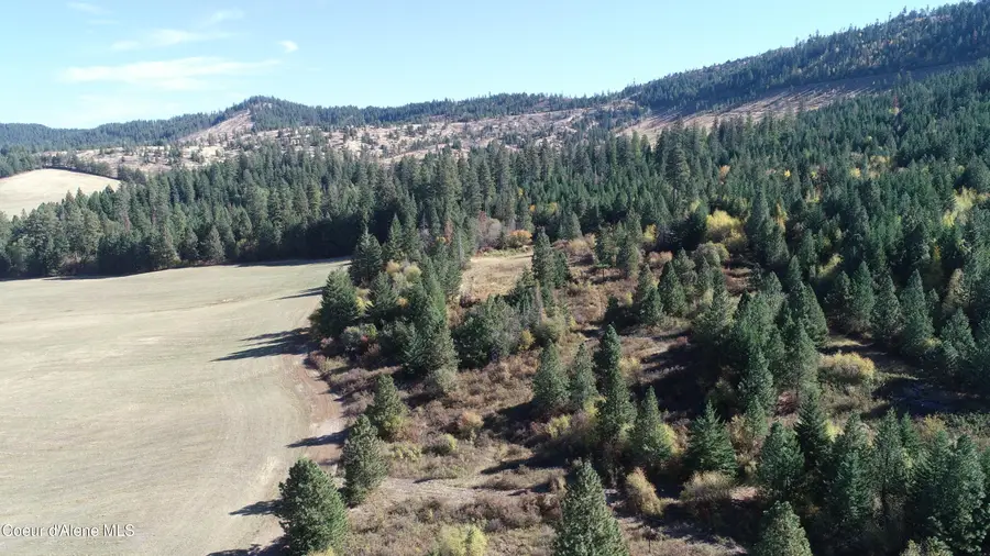 264 Cobblestone Ln, Plummer, ID 83851 - #2
