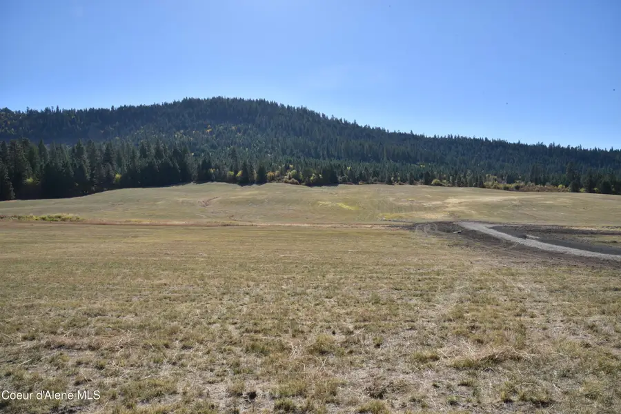 264 Cobblestone Ln, Plummer, ID 83851 - #3