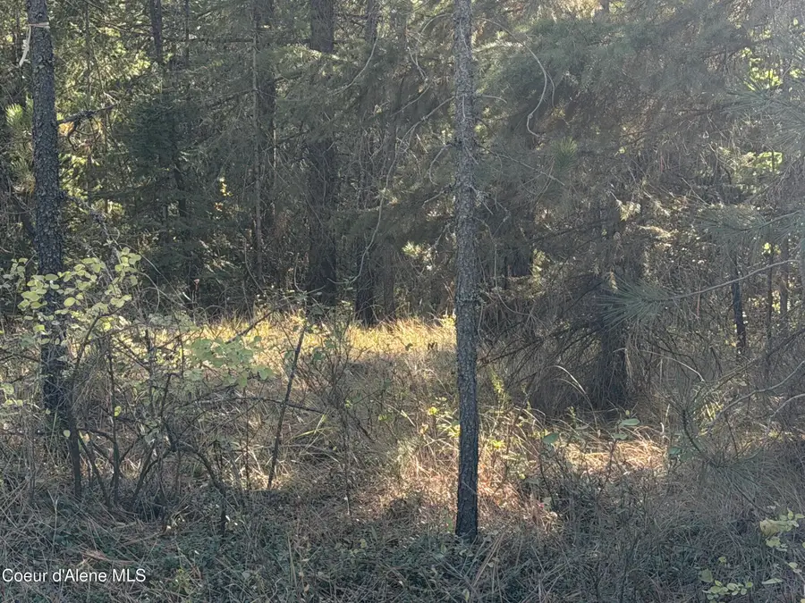 NNA Gray Eagle LT 3, Rathdrum, ID 83858 - #2