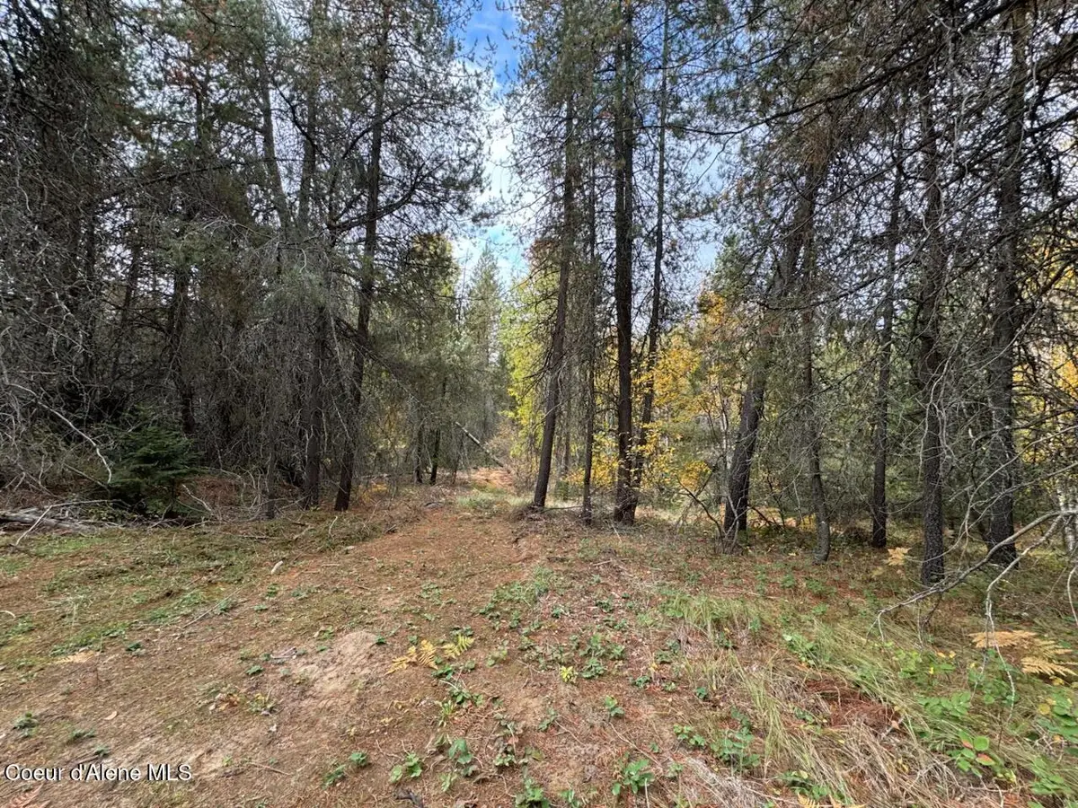 NKA Rascals Rd, Sandpoint, ID 83864 - #1