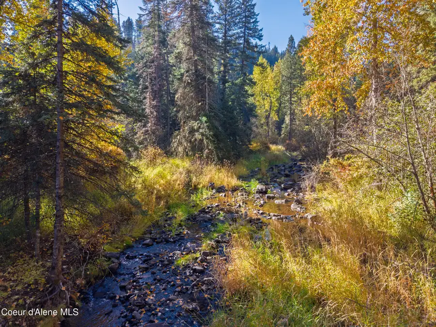 1005 Blake Creek RD, Saint Maries, ID 83861 - #2