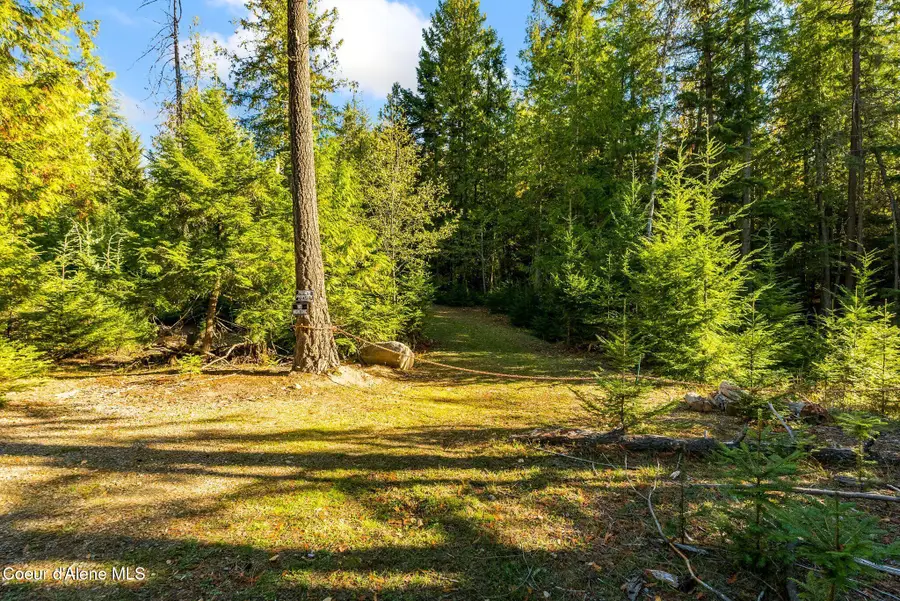 NKA Lot 4 Saddleback Drive, Sagle, ID 83860 - #3
