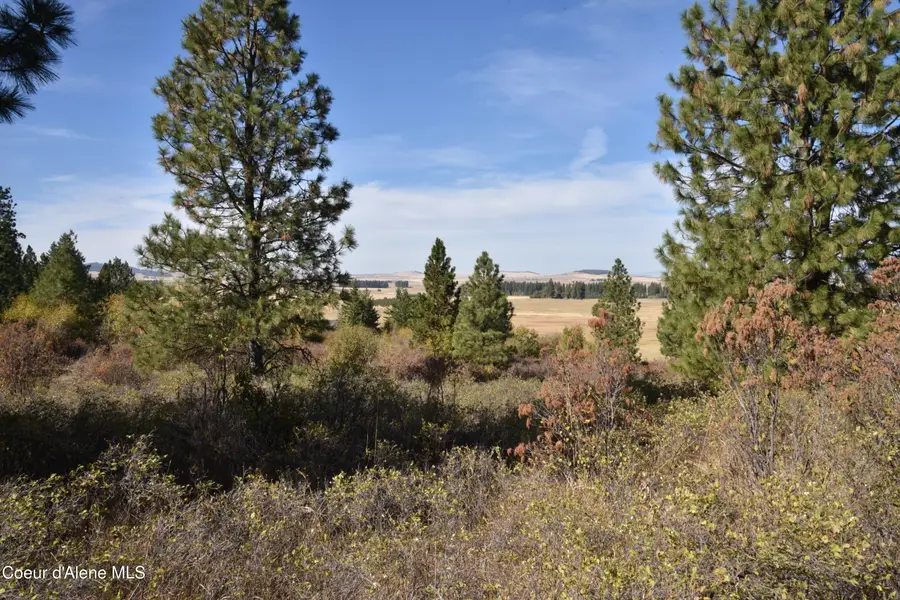 263 Cobblestone Ln, Plummer, ID 83851 - #2
