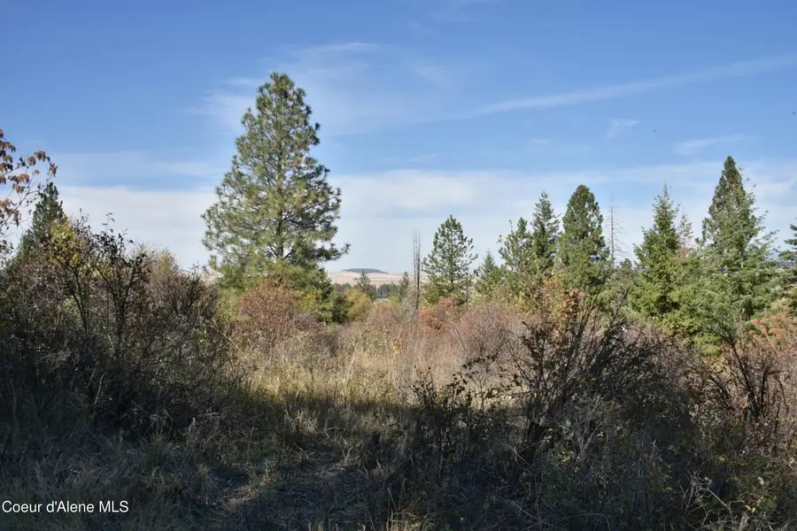 263 Cobblestone Ln, Plummer, ID 83851 - #3