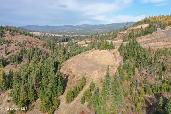 NKA Carpenter Creek Rd, Fernwood, ID 83830