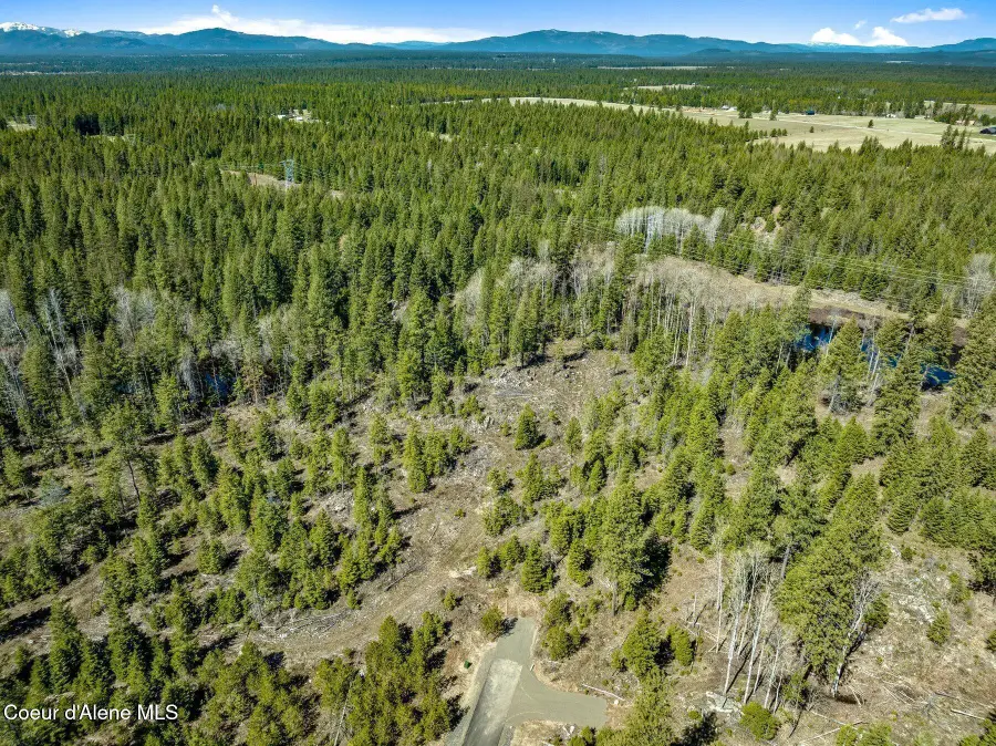 NKA Dickens Rd (Lot 5), Athol, ID 83801 - Image #2