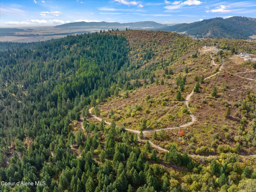 NNA Treetop Ln Lot 3, Plummer, ID 83851 - #3