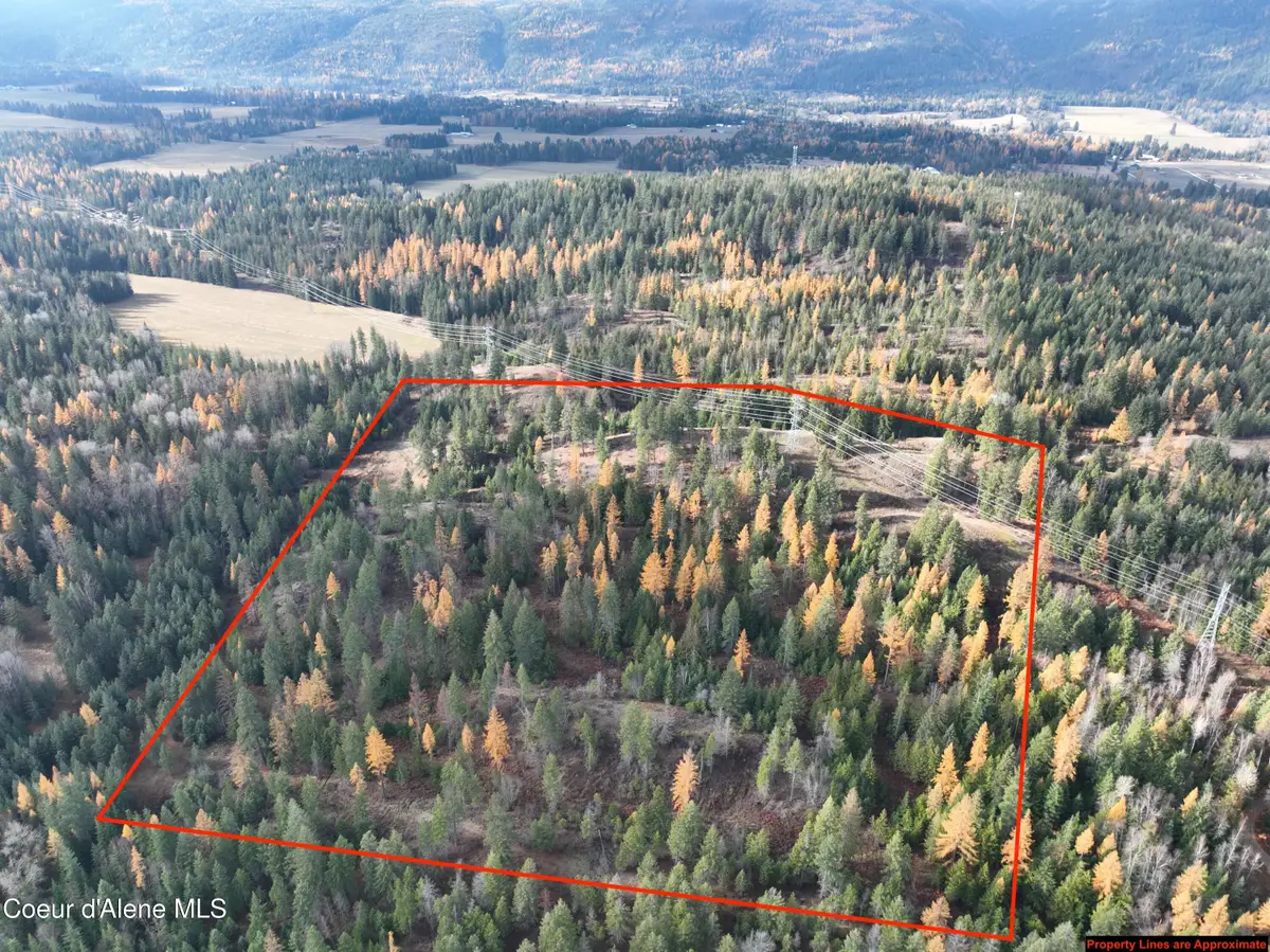 NKA Snowberry Lane, Sandpoint, ID 83864 - #1