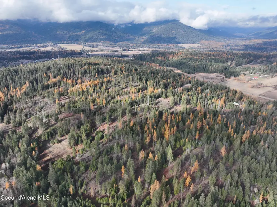 NKA Snowberry Lane, Sandpoint, ID 83864 - #3