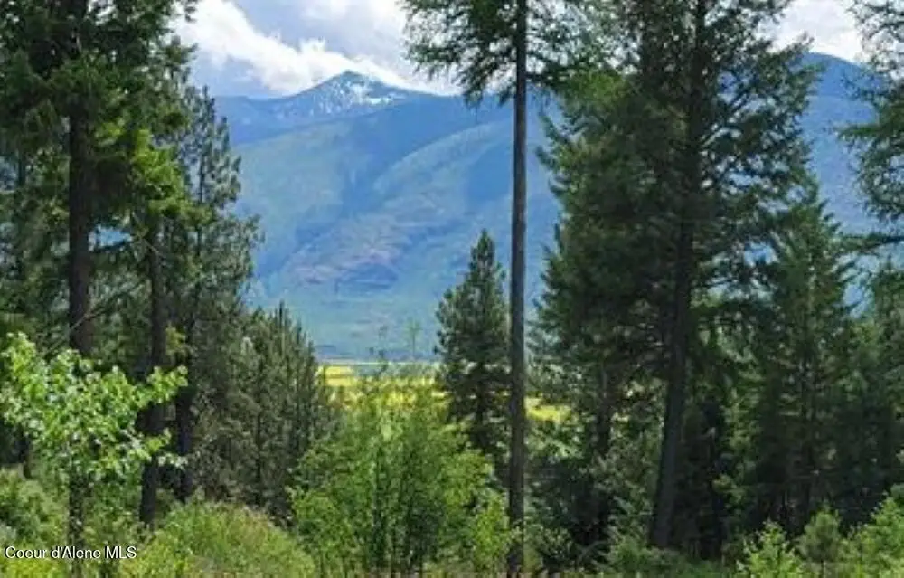 NNA Continental Lane-Parcel 4, Bonners Ferry, ID 83805 - #1