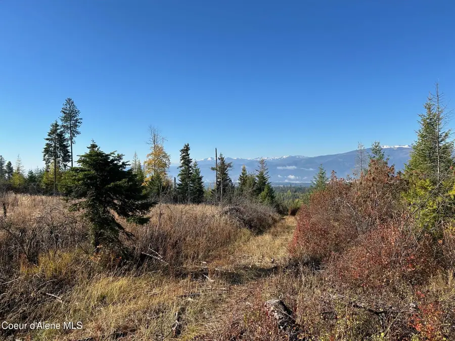 Tract B USFS 2222A, Moyie Springs, ID 83845 - Image #2