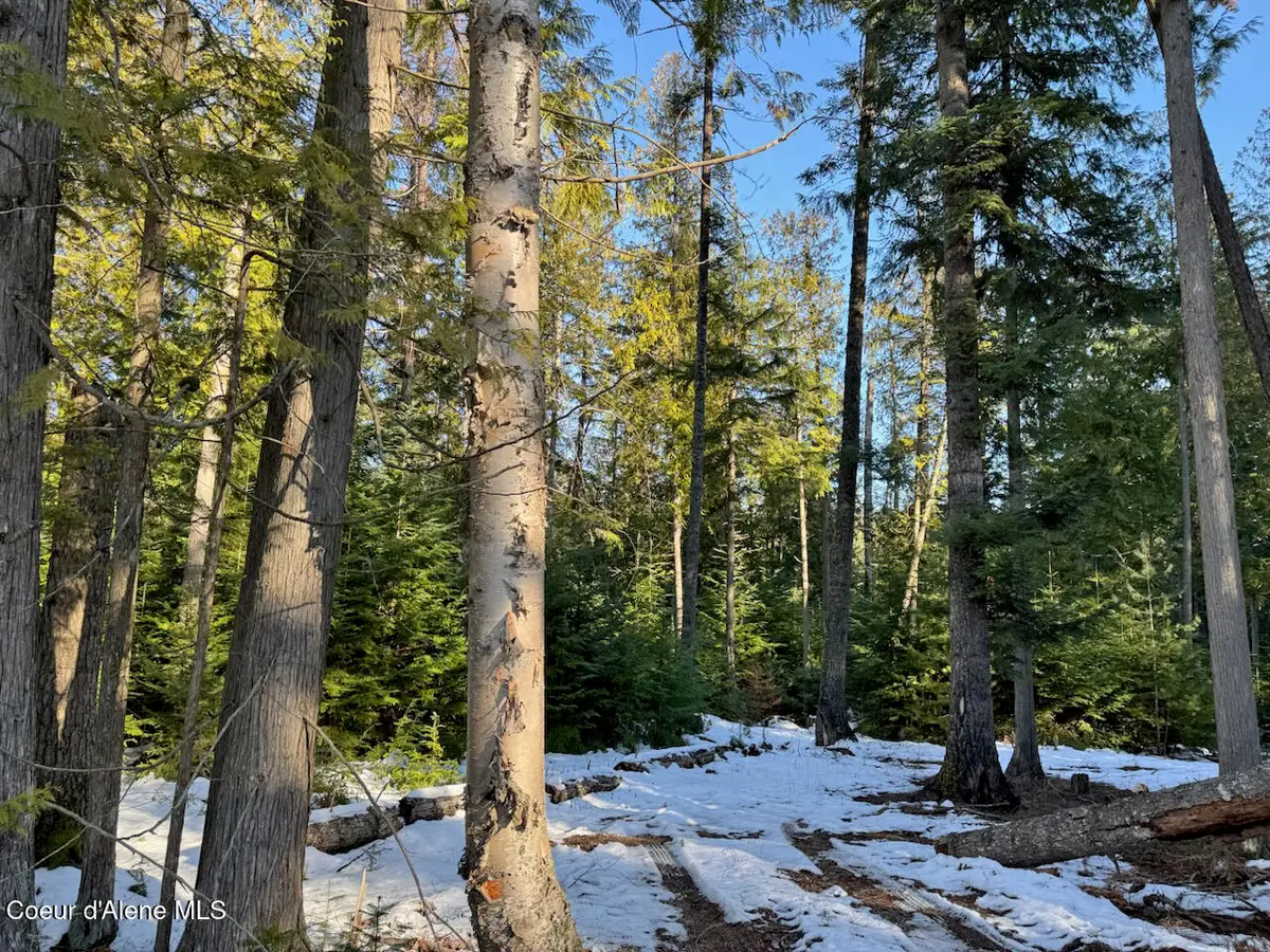 9775 Bottle Bay RD, Sagle, ID 83860 - #1