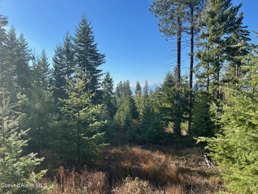 Tract C USFS 2222A, Bonners Ferry, ID 83805 - #2