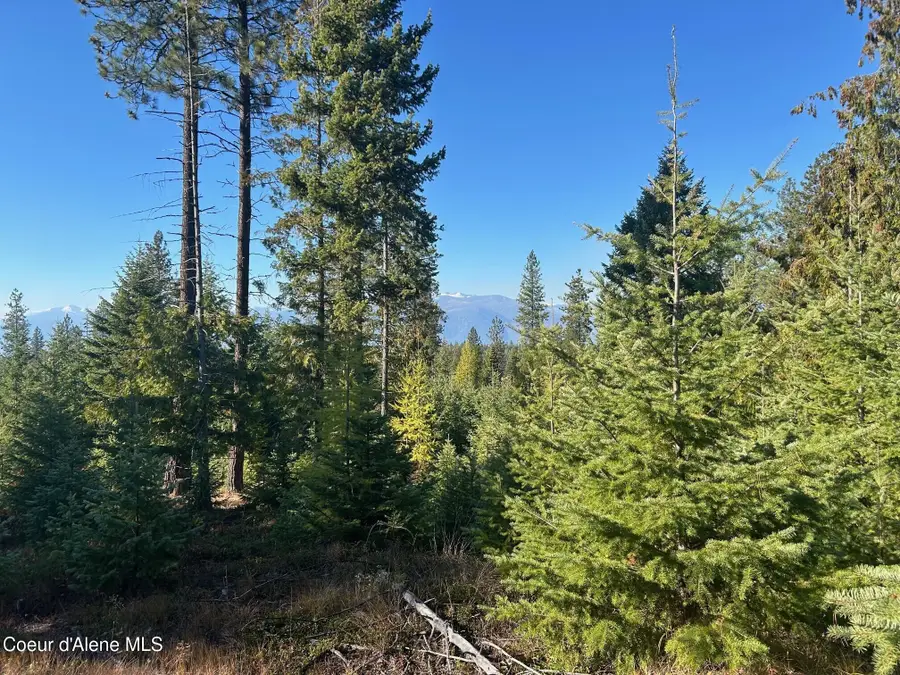 Tract C USFS 2222A, Bonners Ferry, ID 83805 - #3
