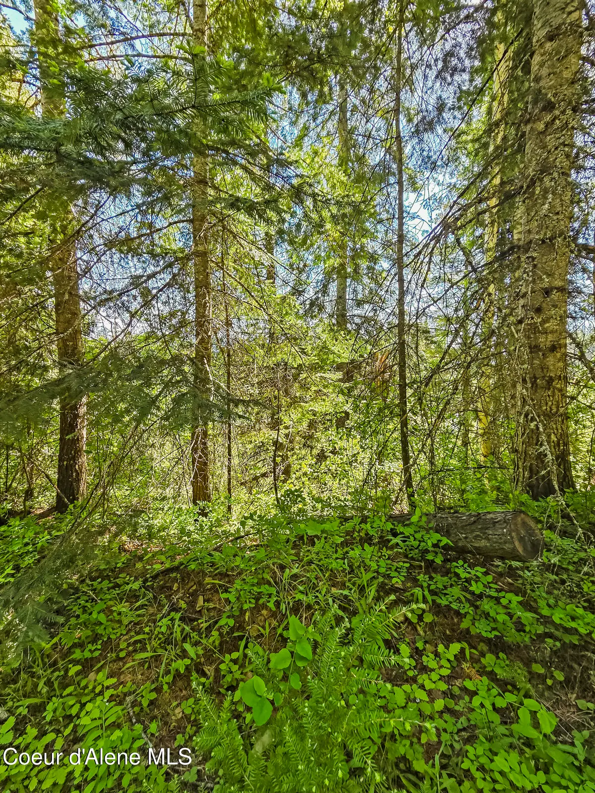 Nna Tanglewood 4.92 acres, Priest River, ID 83856 - #1