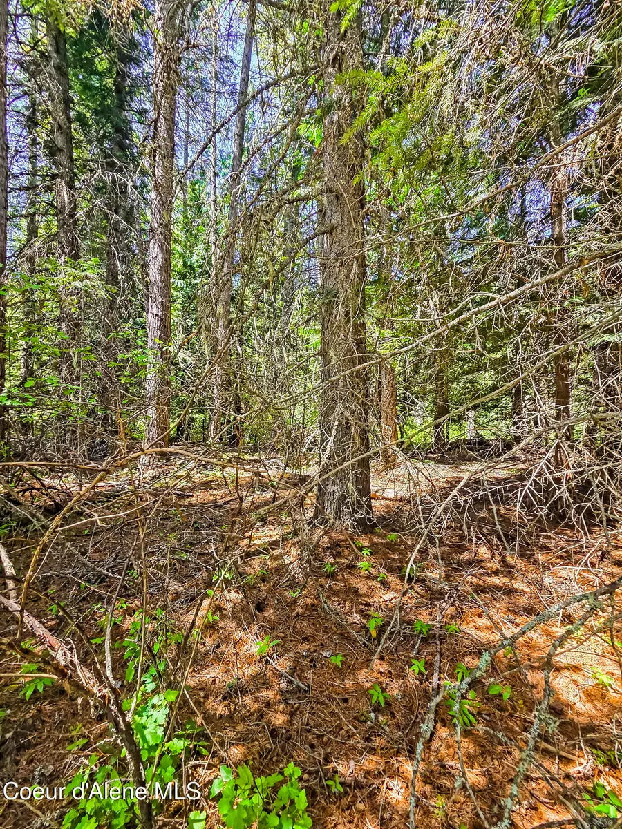 Nna Tanglewood 4.92 acres, Priest River, ID 83856 - #3