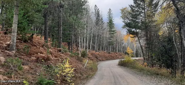 2 Parcels Alhambra Rd, Kellogg, ID 83837