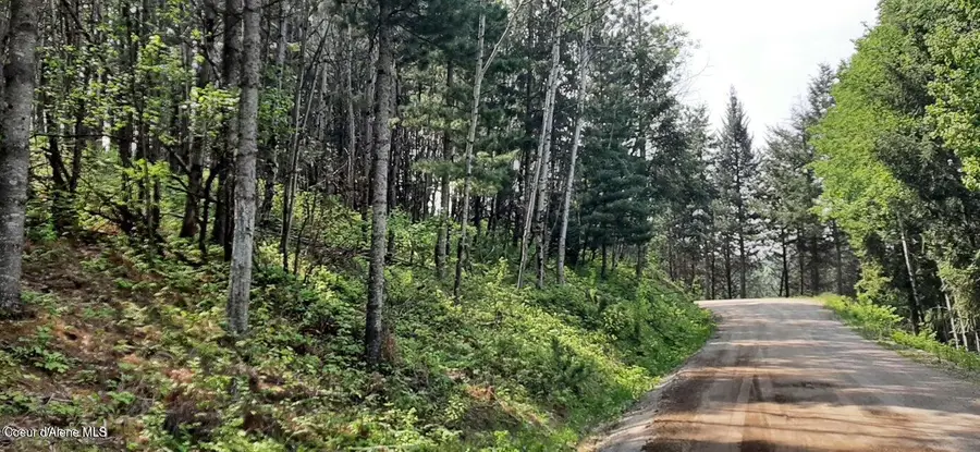 2 Parcels Alhambra Rd, Kellogg, ID 83837 - #3