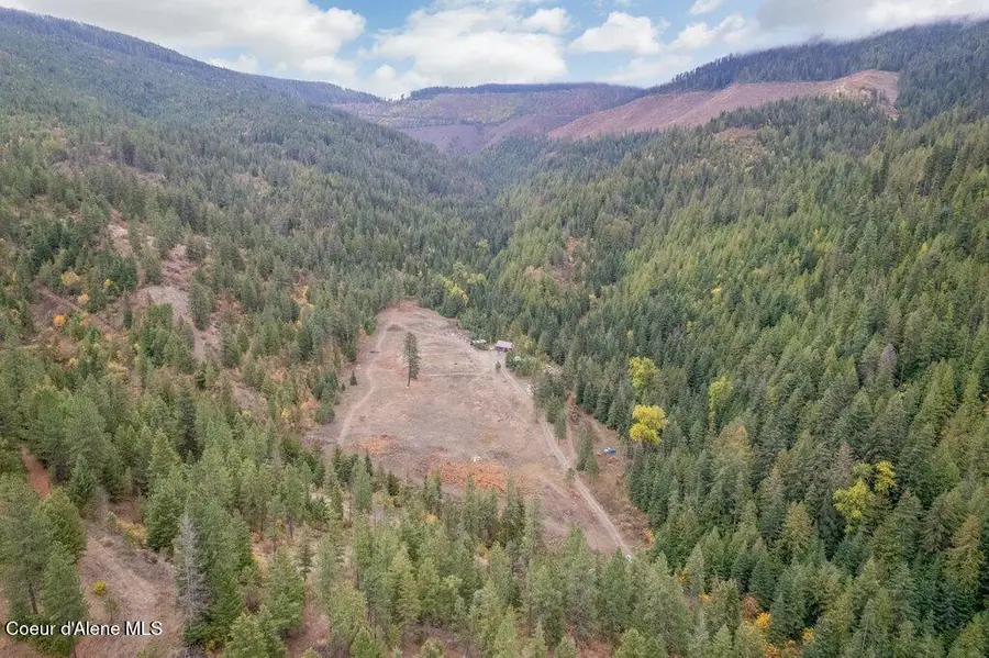 20308 E Canary Creek RD, Cataldo, ID 83810 - #3