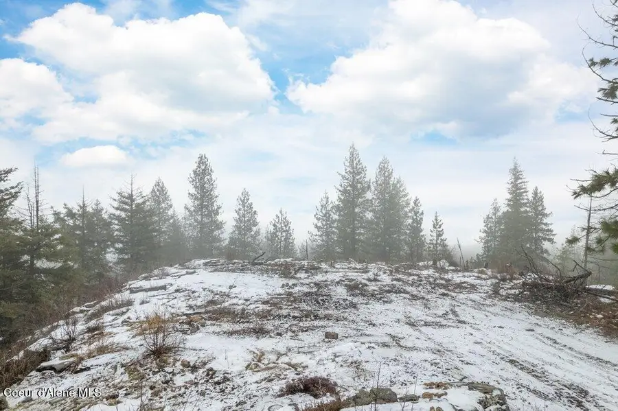 1131 Cabin Ridge Rd, Spirit Lake, ID 83869 - #3