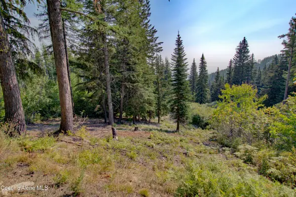 Blk4 Lot4 Ullr Dr, Sandpoint, ID 83864