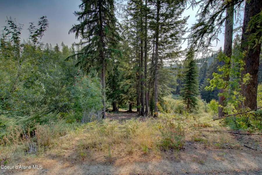 Blk4 Lot4 Ullr Dr, Sandpoint, ID 83864 - #2
