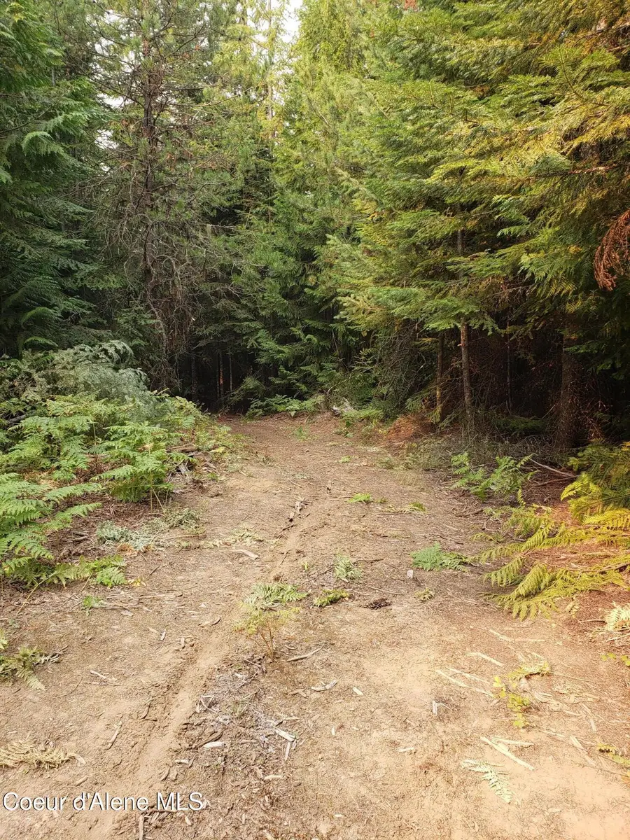 80 E Ridge DR (Tract 8), Saint Maries, ID 83861 - #3