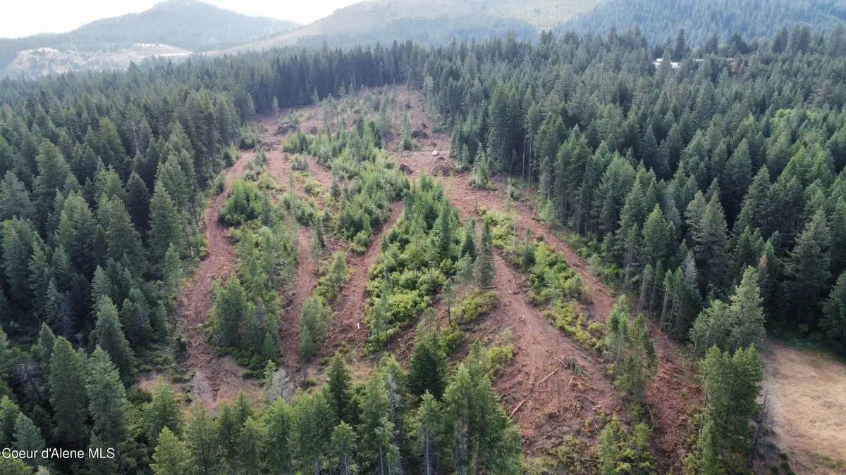 NKA Trinity lane, Saint Maries, ID 83861 - #1