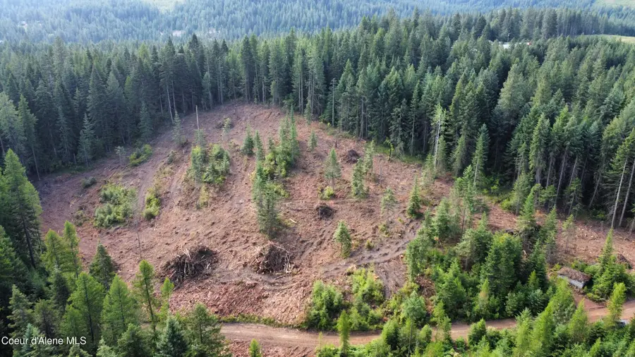 NKA Trinity lane, Saint Maries, ID 83861 - #3