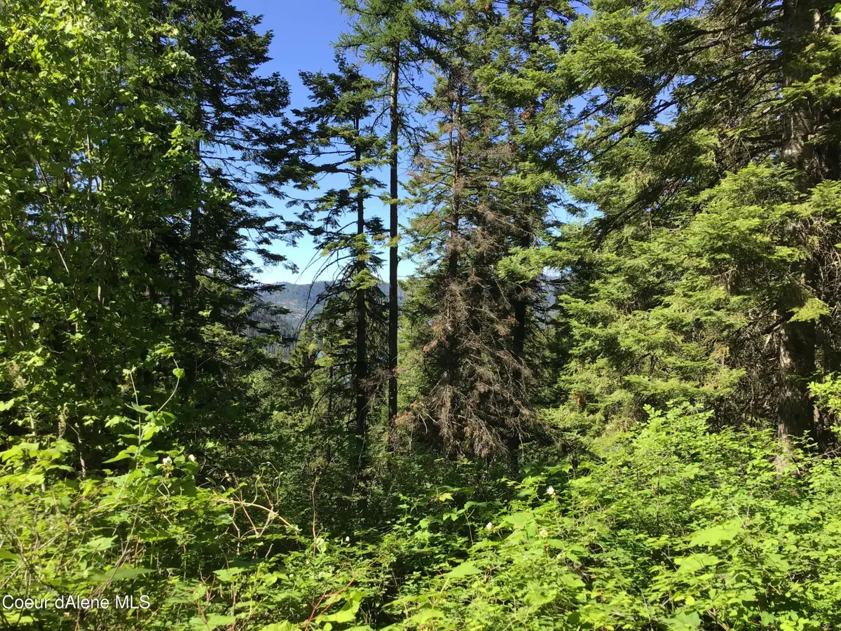 FLY CATCHER LTS 13 & 14, Saint Maries, ID 83861 - #1