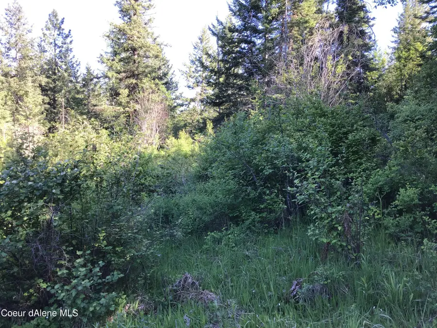 FLY CATCHER LTS 13 & 14, Saint Maries, ID 83861 - #3