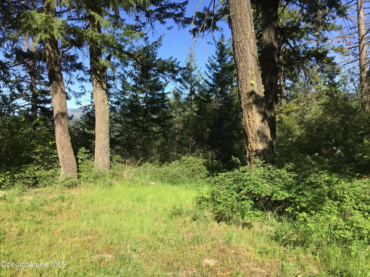 RUFUS TRAIL LTS 4, Saint Maries, ID 83861 - #1