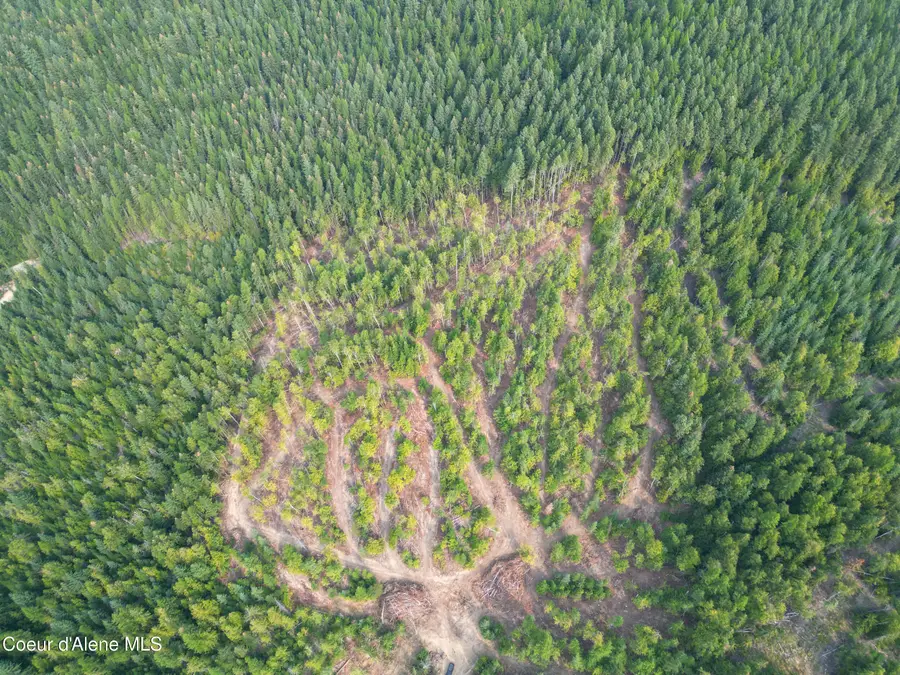 NKA Quartz Crk Rd, Priest River, ID 83856 - #2