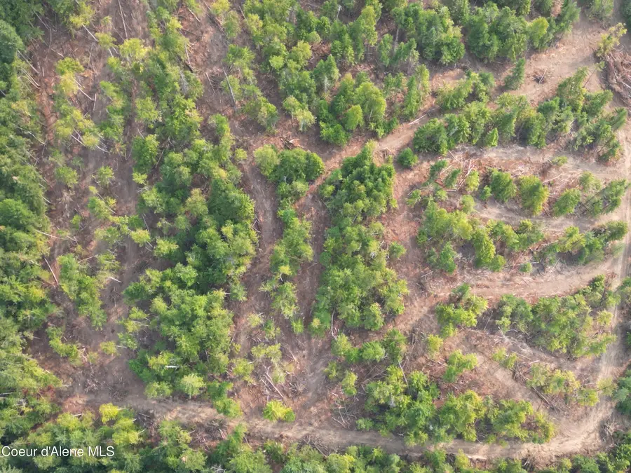 NKA Quartz Crk Rd, Priest River, ID 83856 - #3