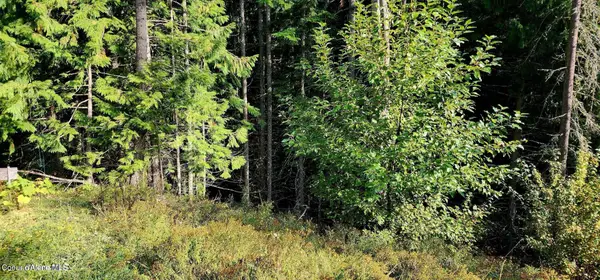 0 Alder Way, St. Maries, ID 83861